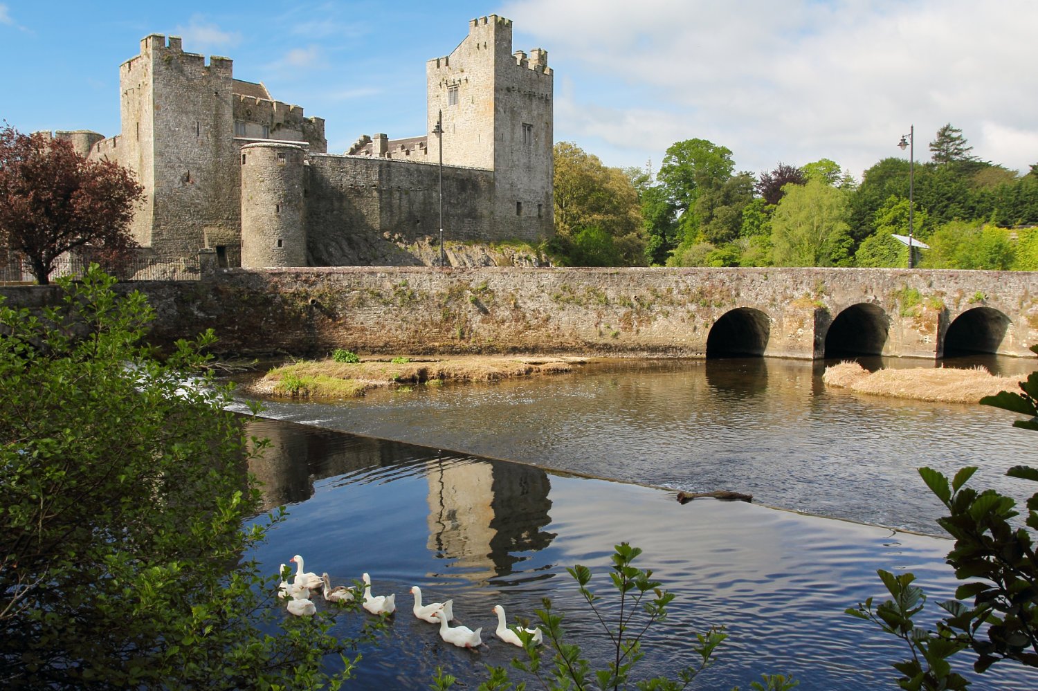 Irish Castle Of Cahir