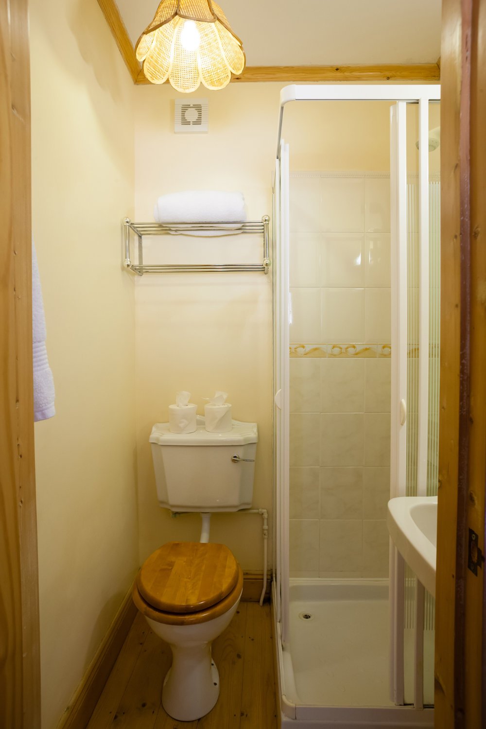 Lisheen Castle Tipperary Ireland